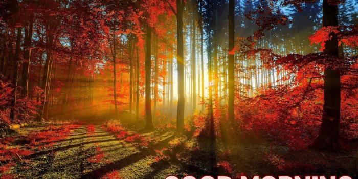 1600x1000 Beautiful Good Morning Nature Wallpaper 07271 WallpapersPick.com