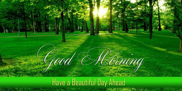 1920x1080 mariposa on ☕ Good Morning ☕⏰ | Good morning quotes