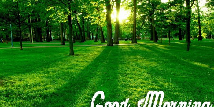 1600x1000 Nature Good Morning Wallpapers