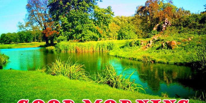 1600x1061 Good Morning Nature Wallpaper Pictures Images Hd - Beautiful Nature