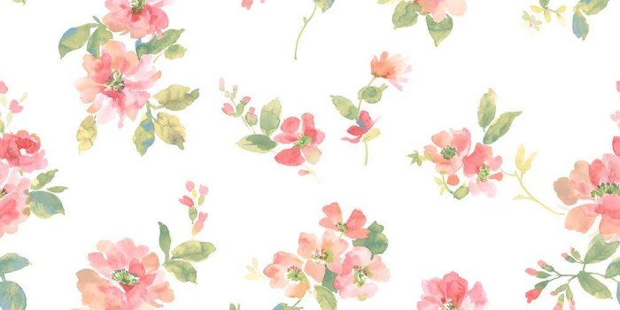 1000x1000 Captiva Peach Watercolor Floral Wallpaper