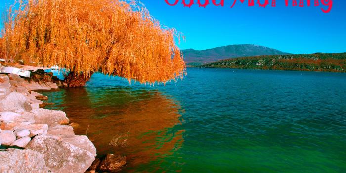 2392x1534 Latest Good Morning Images Wallpaper Photo Pics HD Download For