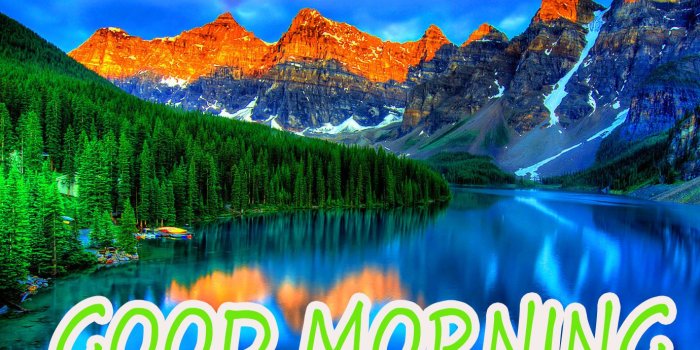 1380x876 Good Morning Image With Beautiful Flowers Nature Images - Nature Oil