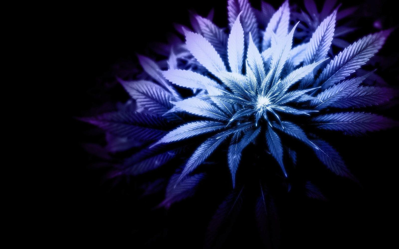 1920x1200 Purple Kush Wallpaper Smoke (72+ pictures)