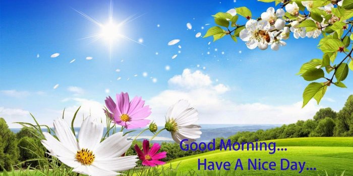 1600x927 Beautiful wallpaper Good Morning quote | live wallpaper | Scenery