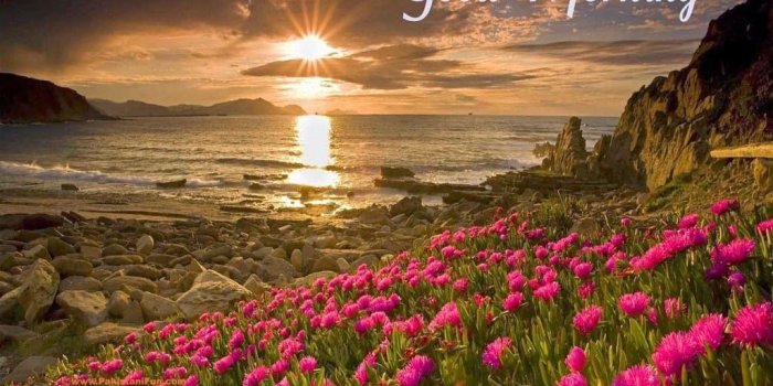 1024x768 Good Morning HD Wallpapers