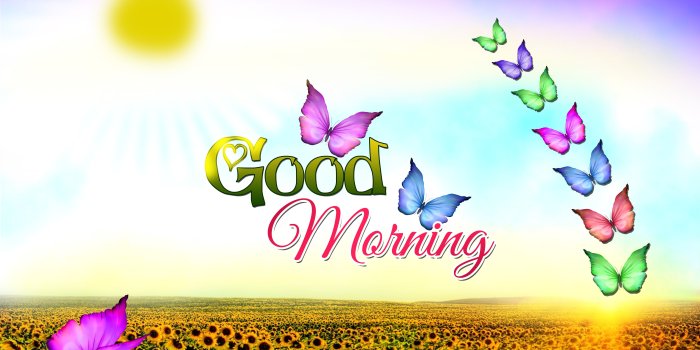 6000x4500 Good Morning Wallpapers Full Hd For Desktop Wallpaper | Scene | Good