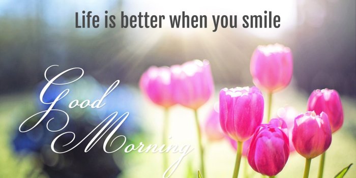 1920x1080 5 Beautiful Good Morning HD Wallpapers | BigHDWalls
