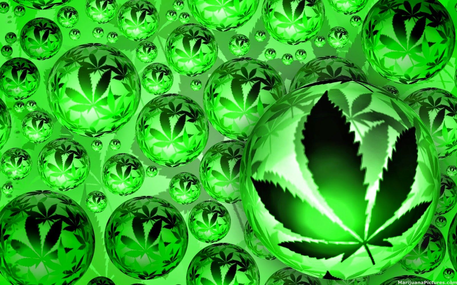 1600x1000 Weed Wallpaper - Wall.BestKitchenView.CO