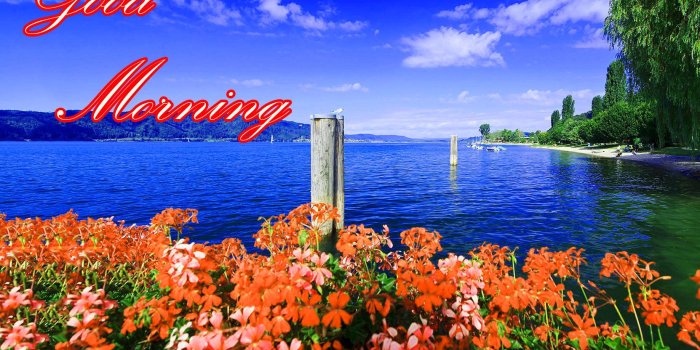 1662x1122 Latest Good Morning Images Wallpaper Photo Pics HD Download For