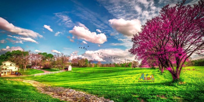 1920x1080 Nature Wallpaper Full HD Gallery Images Photo Free Download