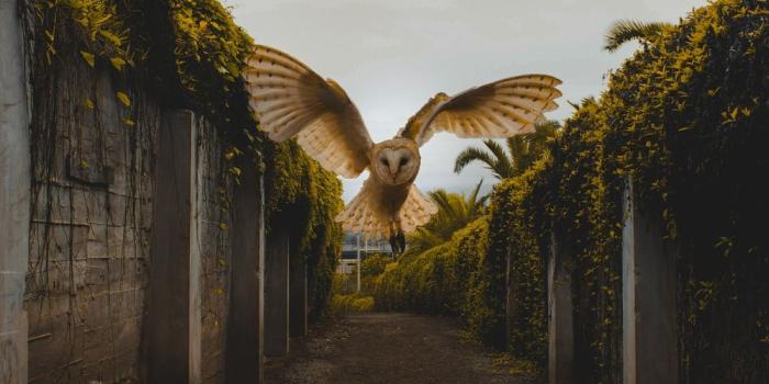 1000x1250 500+ Good Morning Pictures | Download High Definition Free Images on