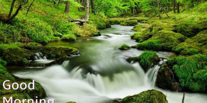 1366x768 25+ Good Morning Nature Images