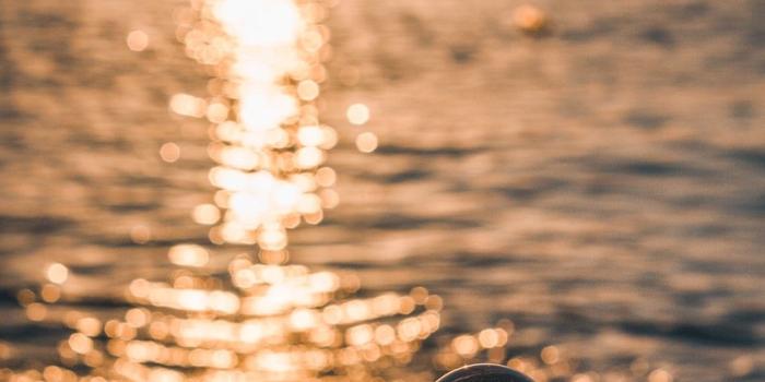 1000x1682 500+ Good Morning Pictures | Download High Definition Free Images on