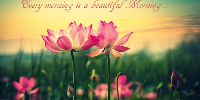 2880x1800 Nature Good Morning Wallpapers