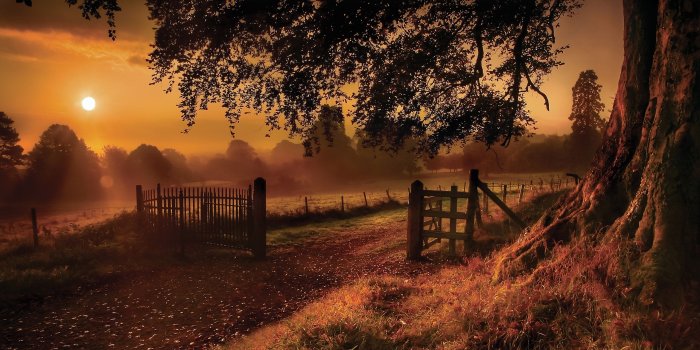 2560x1440 Fb Good Morning wallpaper - 1394254