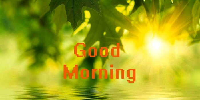 1740x1088 Little New Nature Good Morning – auctionnation.club