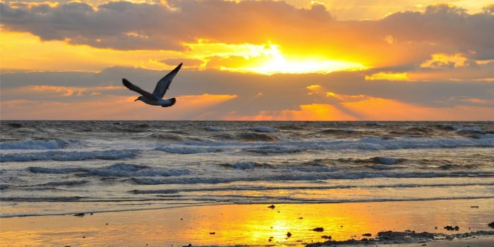 1920x1080 75+ Beautiful Sunrise Wallpapers on WallpaperPlay