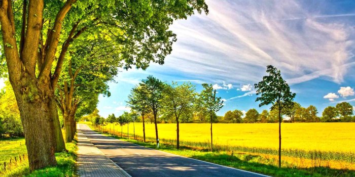 1920x1080 Good Morning Nature Wallpaper - (62+ images)