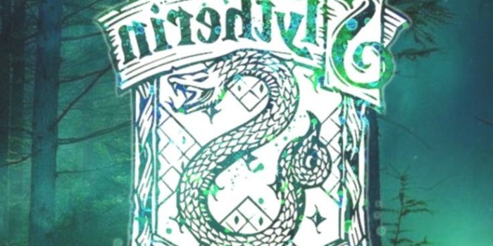 736x1138 Iphone wallpapers - Slytherin. Hogwarts. Harry Potter