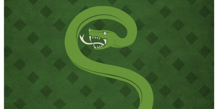 792x1224 50+] Slytherin iPhone Wallpaper on WallpaperSafari