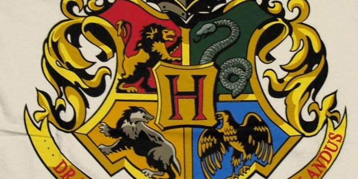 1001x1206 Harry Potter Gryffindor Crest Wallpapers - Top Free Harry Potter