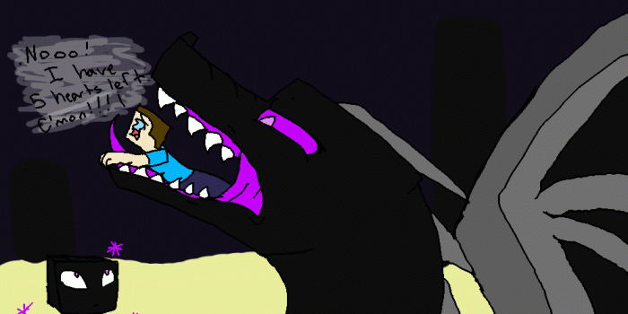 1000x800 Minecraft Ender Dragon Memes (#1730160) - HD Wallpaper Download