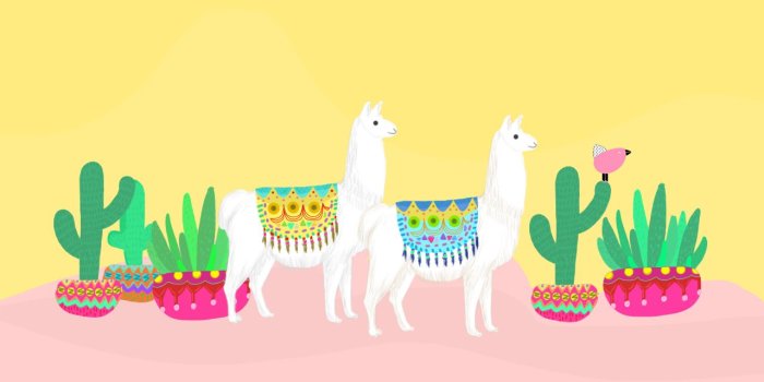 1280x768 Llama Wallpaper 21 - 1280 X 768