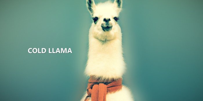 1920x1200 HD wallpaper: llama, mountain, animal themes, mammal, animal