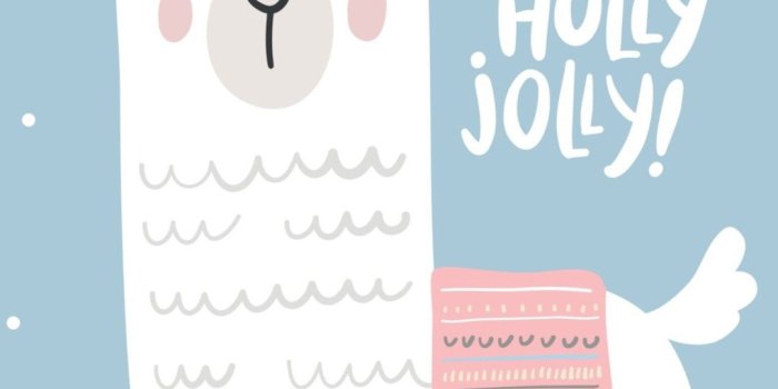 1080x1920 Fond d'écran lama holly jolly | Clase 2019 in 2019 | Cute llama