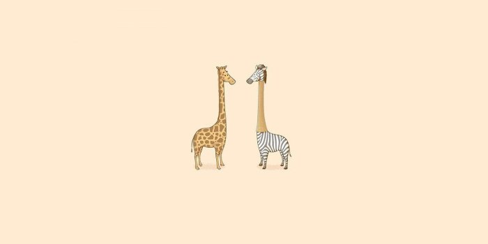 1366x768 wallpaper for desktop, laptop | aj79-cute-giraffe-yellow-animal-minimal