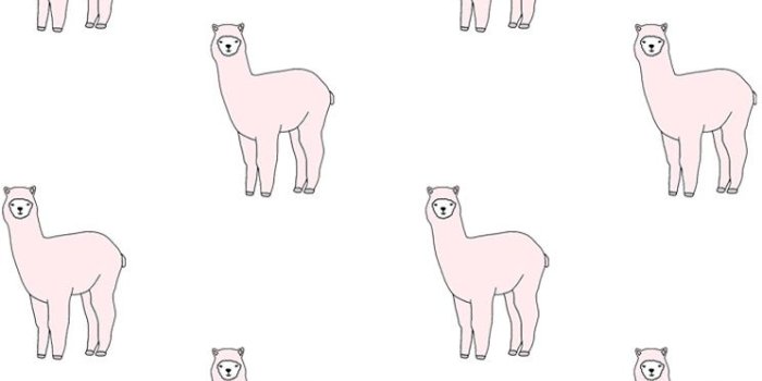 744x1392 Kawaii Llama Wallpapers - Top Free Kawaii Llama Backgrounds