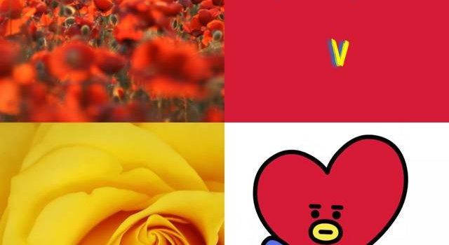 640x1280 BTS BT21 Tata Wallpaper by Hobilov387 - 1f - Free on ZEDGE™