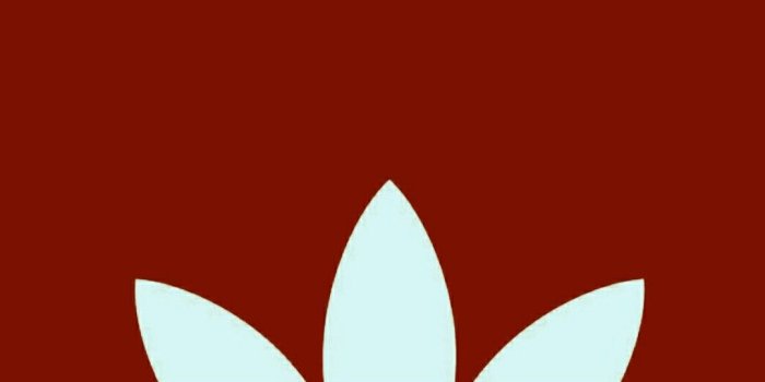 1080x1976 Santi on Wallpaper in 2019 | Cool adidas wallpapers, Adidas