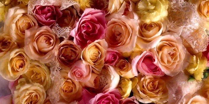 1024x819 Colorful Roses Wallpaper - Rose Wallpaper Full Flowers (#944118