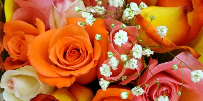 2560x1600 Colorful Rose Bouquet wallpapers | Freshwallpapers