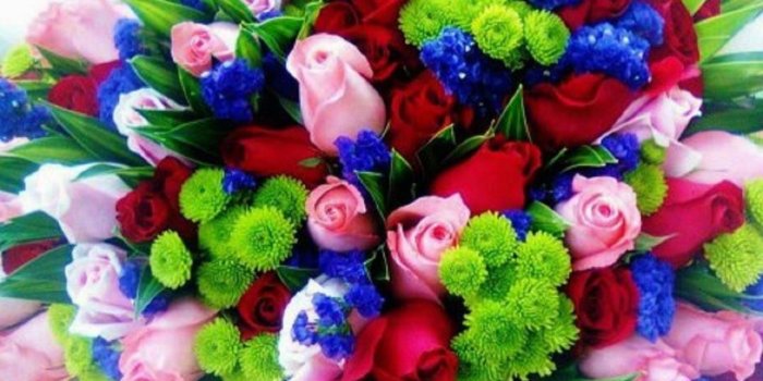 1920x1080 Colorful Rose Wallpapers (25+)