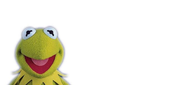 1600x1200 Kermit Wallpapers