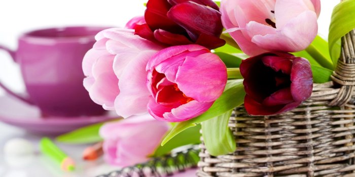 2560x1600 Colorful Flowers Wallpapers HD