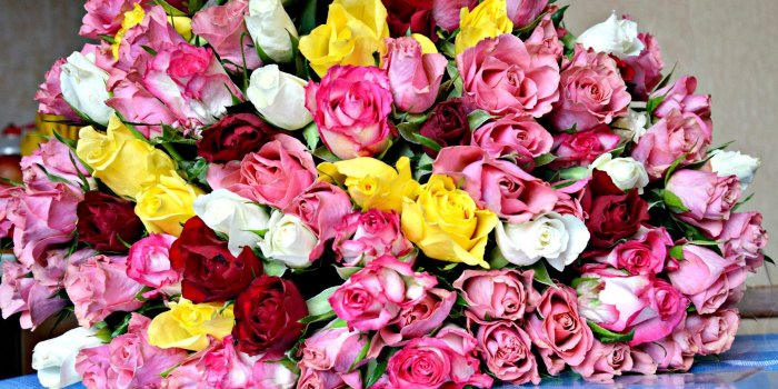 2150x1364 Flower Nature Colorful Flowers Roses Bouquet Art Desktop Wallpaper