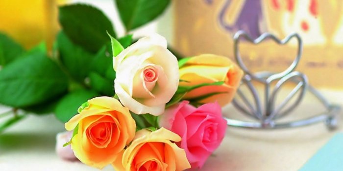 1600x1200 WallpaperMISC - Colorful Roses HD Wallpaper 9 - 1600 X 1200 Free TOP