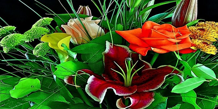 1920x1200 Flower: Happy Wekend Beauty Romances Warm Colorful Roses Loving