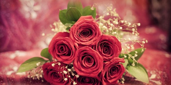 1024x768 Red Rose Wallpapers Free Download Group (70+)