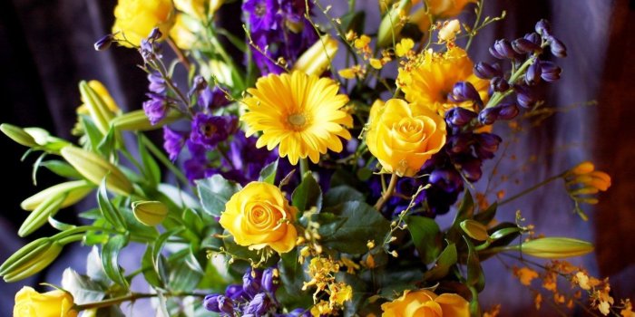 1366x768 Flowers: Bouquet Colorful Roses Petals Summer Nature Yellow Purple
