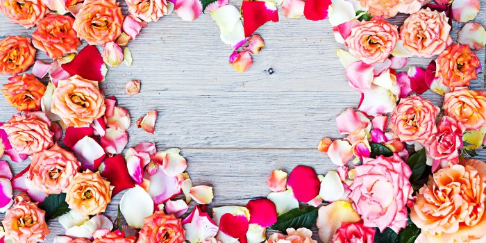 3840x2400 Download wallpapers Roses petals heart frame, 4k, colorful roses