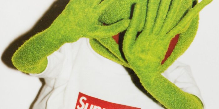 1380x1518 Supreme Kermit the Frog by Terry Richardson | Lifestyle | Supreme