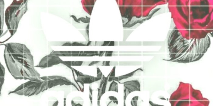 736x1308 roses #red #black #adidas #wallpaper #iphone | Track Suits