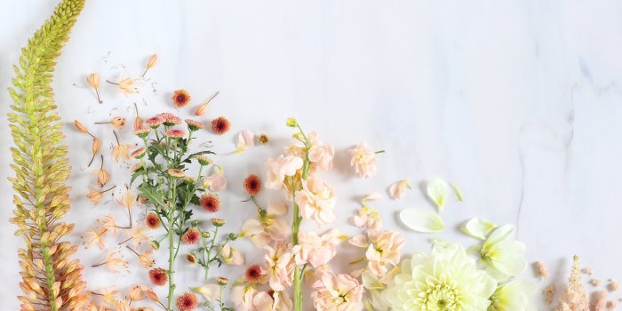 5184x3456 DIGITAL BLOOMS SEPTEMBER 2016 | Digital Wallpapers | Flower desktop