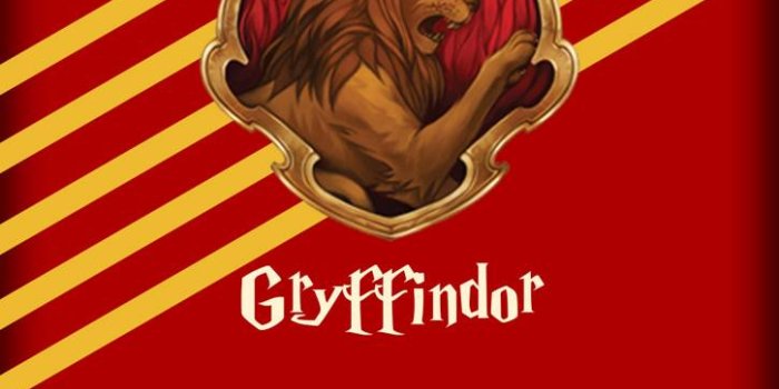 725x1280 Gryffindor Wallpaper Wallpaper by MhmtGlyn - 42 - Free on ZEDGE™