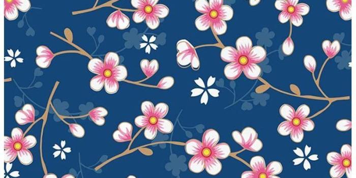 800x1200 Cherry Blossom wallpaper dark blue